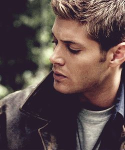 "I know a little about a lot of things; just enough to make me dangerous."

• Dean Winchester
• The Family Business
• Literate
• Ships With Chem
• 18+
• Violence
• Cursing
• Sexual Themes

#spn #spnrp #deanwinchester #supernatural #rp #supernaturalrp