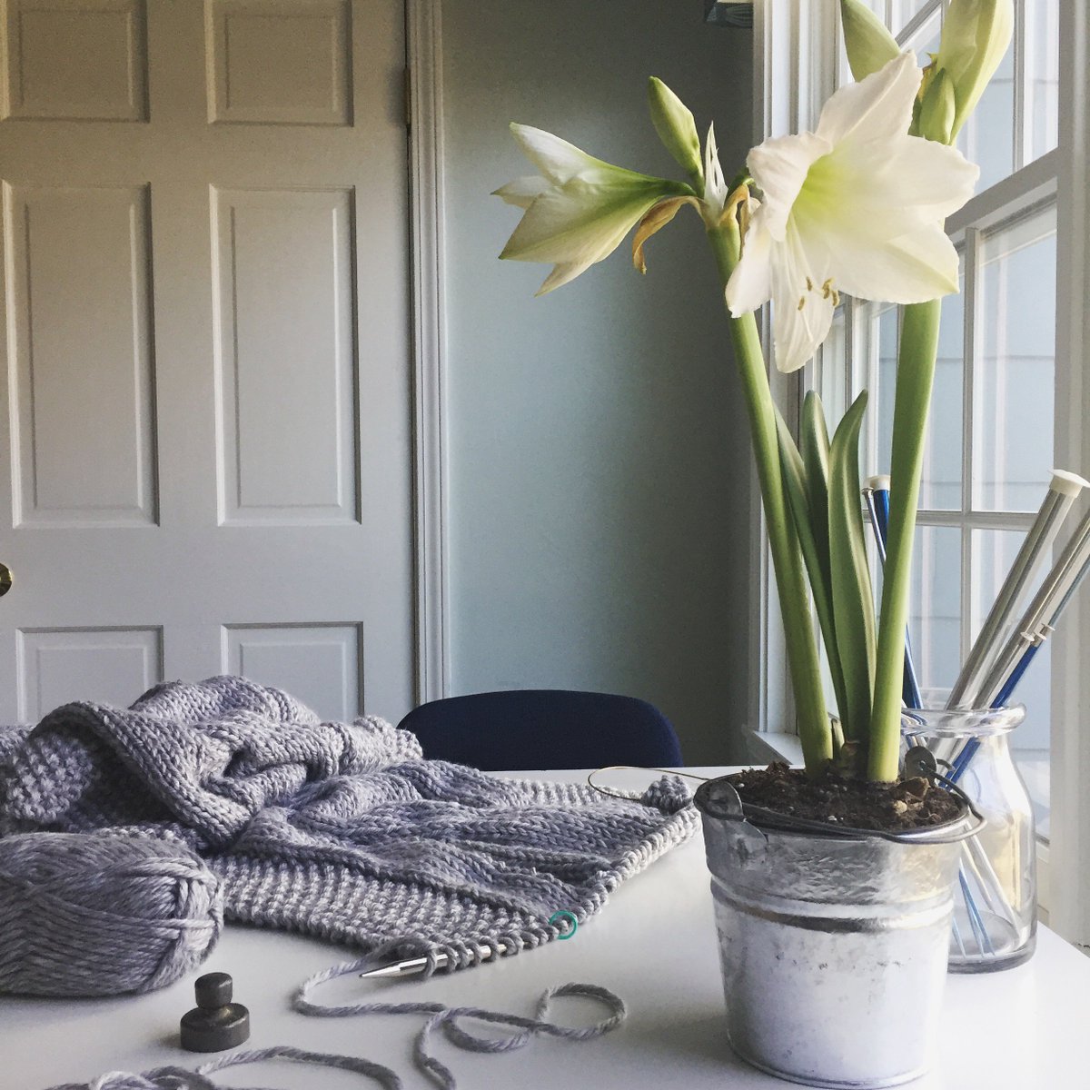 5410Studio's tweet image. In my home studio today...sunshine, #knitting in progress &amp;amp; my amaryllis is blooming! 🌞😀💙
@LionBrandYarn Hometown USA in 'Springfield Silver'