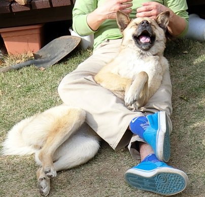 ちゃこさん tweet media