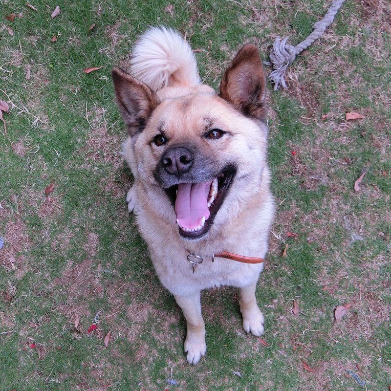 ちゃこさん tweet media