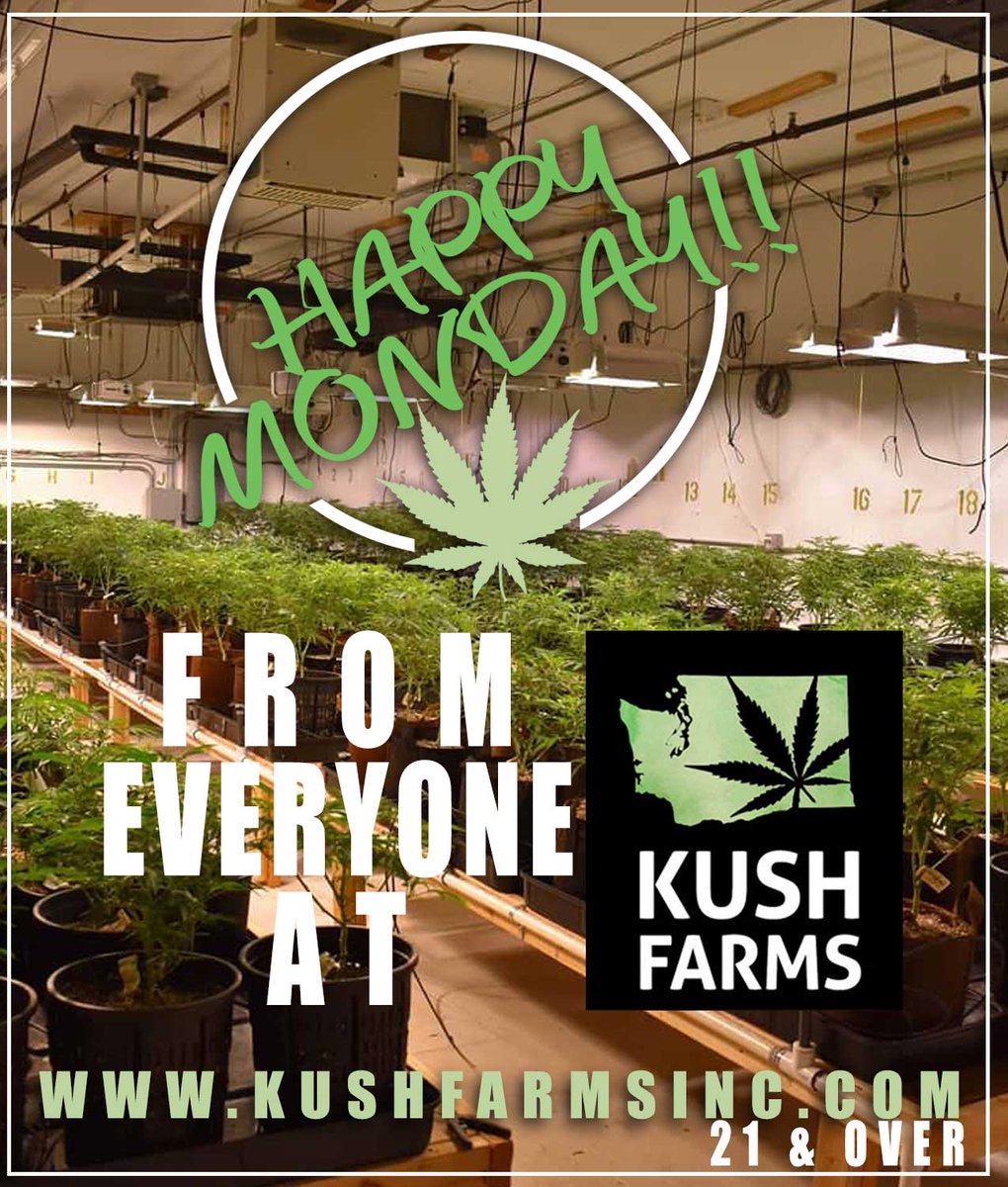kushfarmsInc's tweet photo. Happy Monday !!#i502 #washingtonweed #dragonweed #kushfarmsinc #relax #weed #420 #i502producers #cones #earthy #kush #smoke #weedmemes #high #caviarcone #nwweed #weedfeed #CannabisCommunity #vanweed #funtimes #flowers #thc #memoryloss #querkle #frostedcherrycookies #libertyog https://t.co/6JrmD0Cw9j