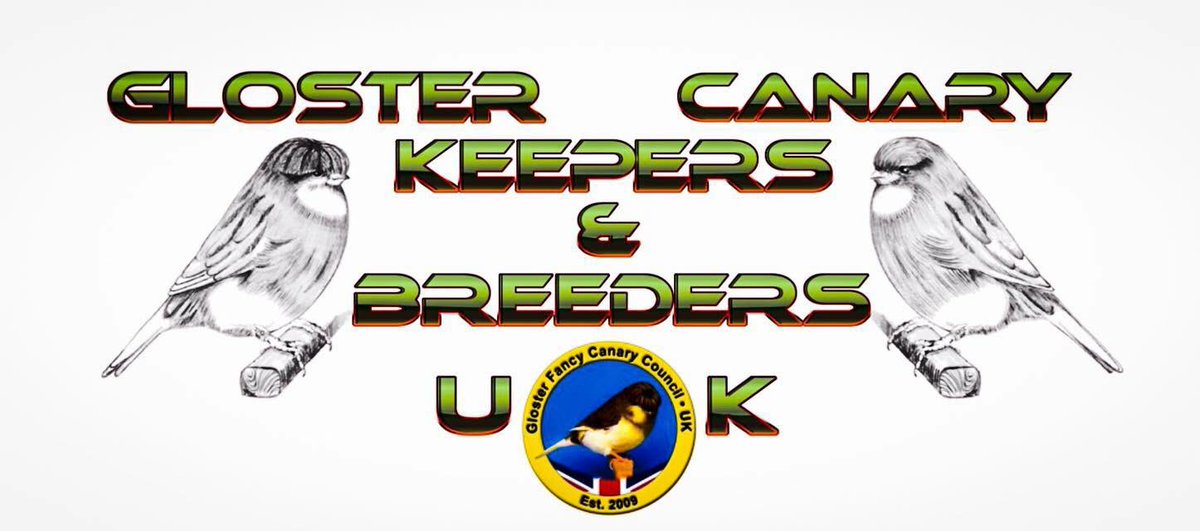 deckasport's tweet image. m.facebook.com/groups/1173409…               #glostercanary #glosters #corona #consorts #canary
