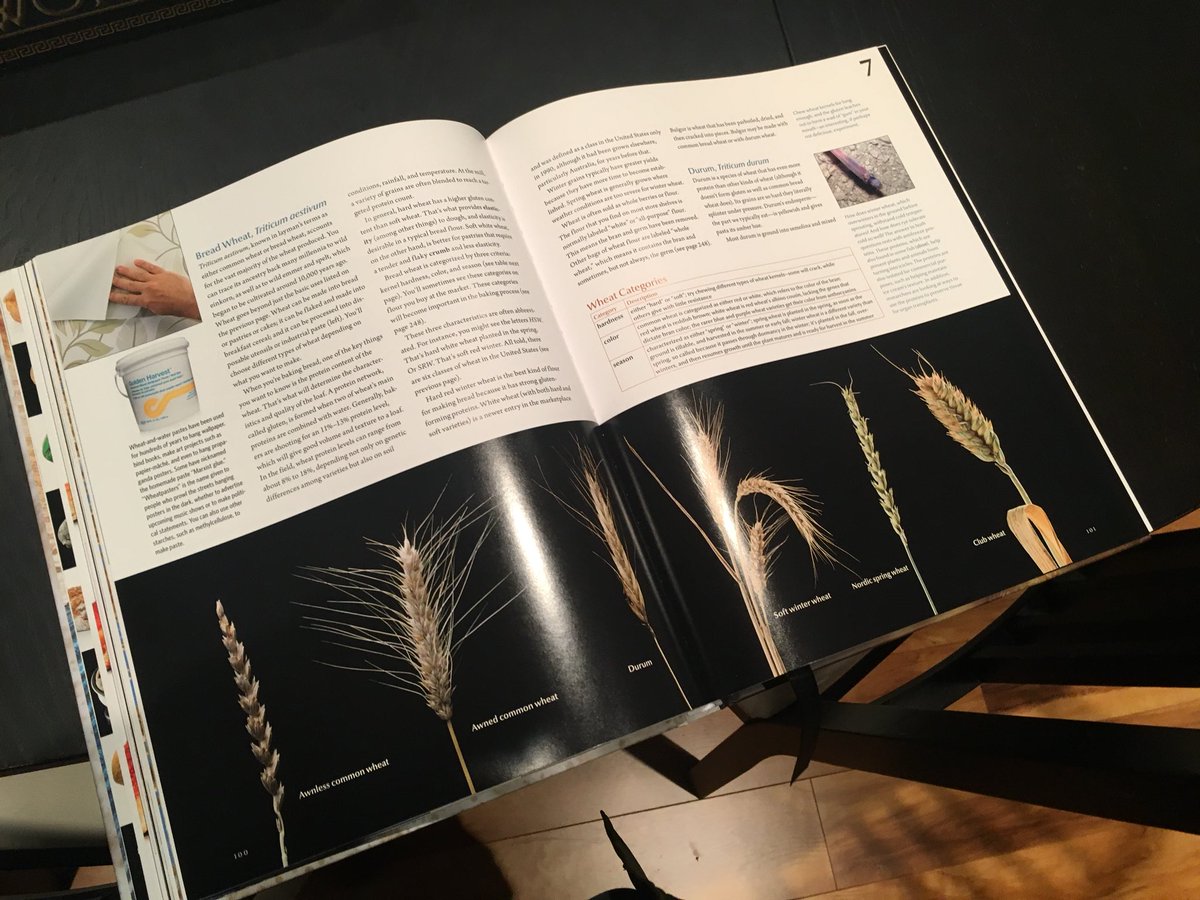 heyHotaruu's tweet photo. Finally seeing the pictures you took in a printed book after 2 years 🙌🏼 also I’m a model btw will hold bread for money....or bread #modernistcuisine #breadbook https://t.co/H0SqPOXB5r