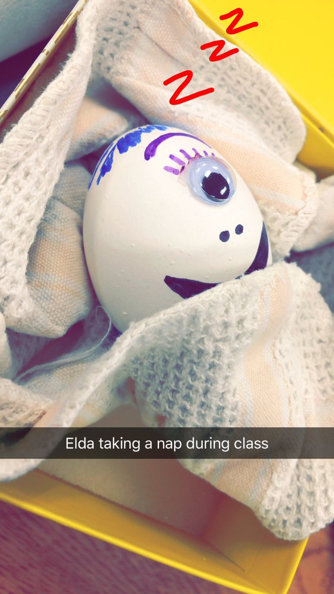ShaferChlo's tweet photo. Elda’s first day of life was spent napping at school 😴😴😴 #eggbabiesmiller https://t.co/FYPAkVDX09