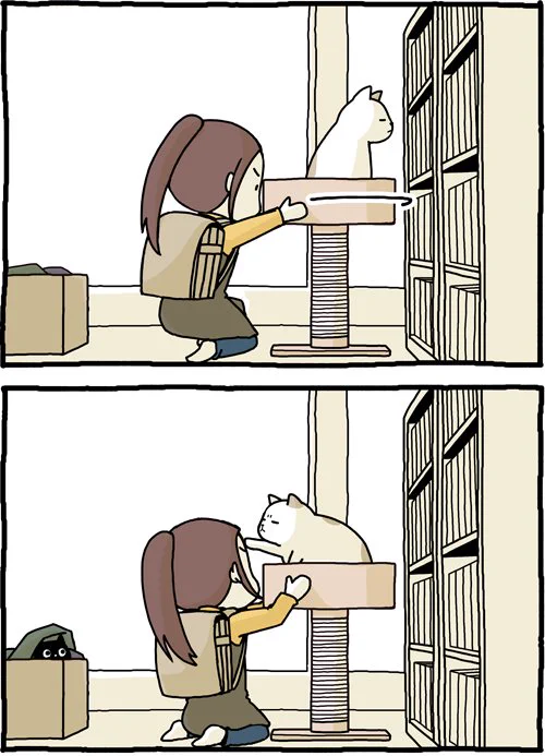 猫には伝わっていないのかな？ｗｗｗネジを締め直してあげようとしただけなのにｗｗｗ