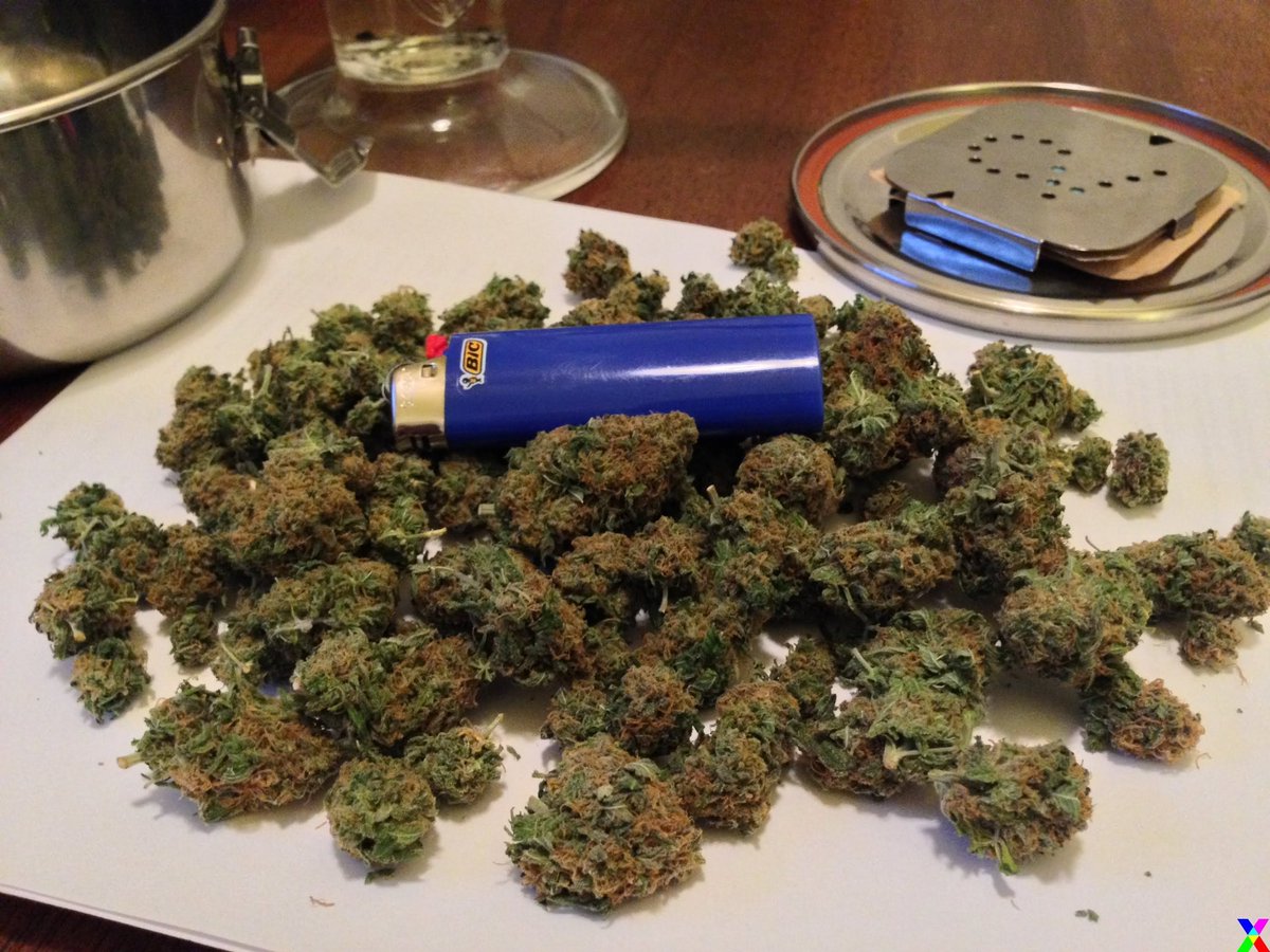 omarmangeli's tweet photo. #NP: Veteran's Day album;
Big Daddy Kane.
Can't get no better than this!
#Kush #Cannabis #Weed #Marijuana #Ganja #Spliff #MiraaTeam #GreenCrack #Meru #GainWithXtianDela #TrapaDrive #Eastcoast #Legend #Classics #HiphopCulture #HipHopNation #Rap #Basement #OldSkul https://t.co/FuWIn2Zqtr