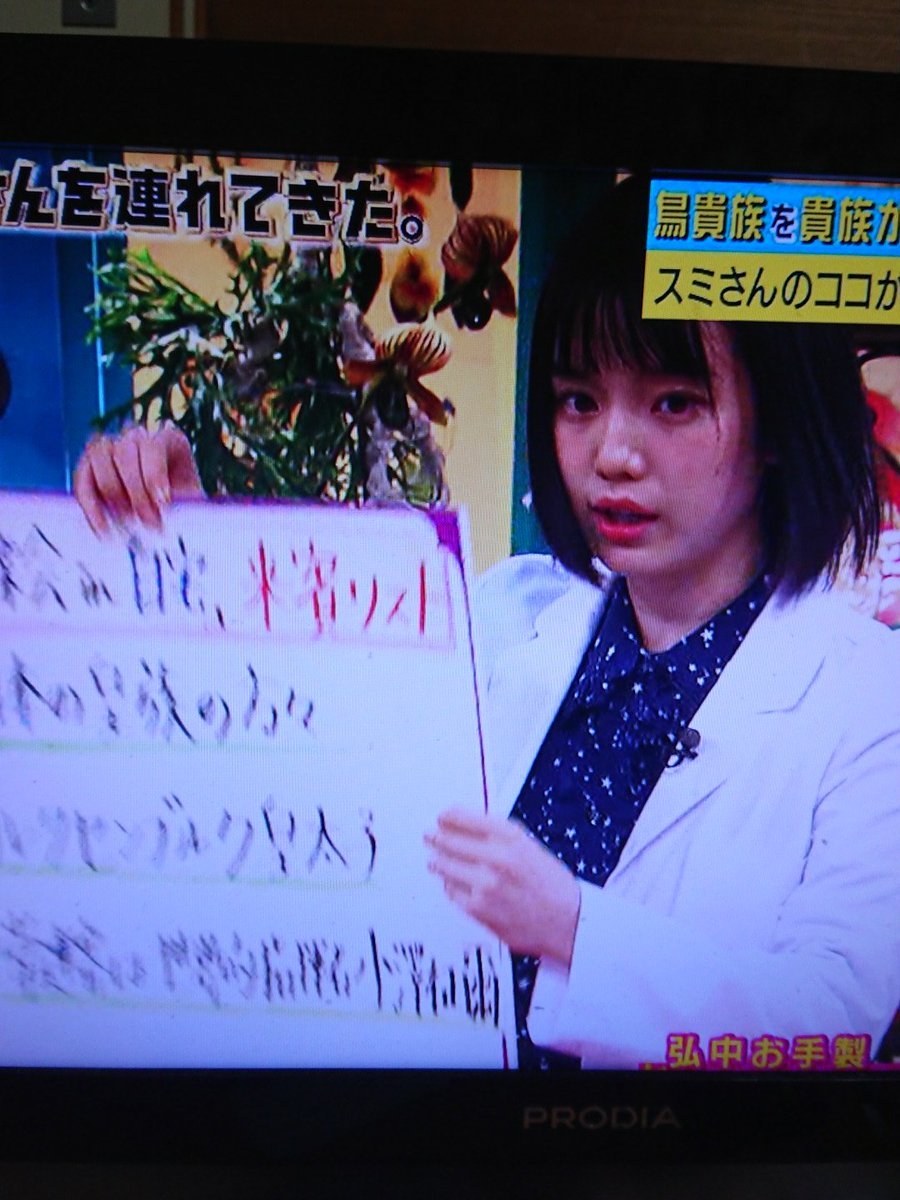 ヨーロッパで貴族の前で演奏していたので 居酒屋 鳥貴族を貴族のサロンと勘違いしバイトしてたバイオリニスト 激レアさんを連れてきた Togetter ヨーロッパで貴族の前で演奏していたので 居酒屋 鳥貴族を貴族のサロンと勘違いしバイトしてたバイオリニスト 激レアさんを連れてきた Togetter