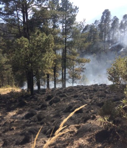 PCGobPue's tweet photo. Elementos del parque nacional #Ixta-Popo, #Policíadealtamontaña, comuneros de #Amecac, Proyecto #VW, #CentroEstataldeIncediosForestares y voluntarios sofocan incendio de pastizal en el paraje Pelagallina resultando afectadas 20 ha. Sin lesionados. https://t.co/BWGy6Alxa2