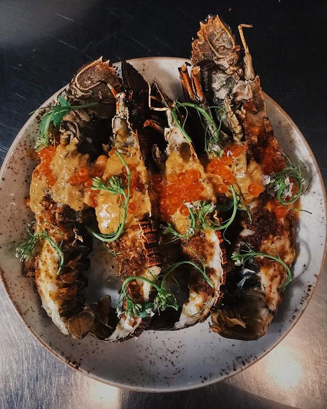 How gorgeous and dramatic is this dish by  Jacob D'Vauz ? Moreton Bay Bugs, Ōra King Salmon Caviar, Head Cheese Butter &amp; Sauce with Wasabi Rocket Flowers 📷: @dvauz.jacob #beautifulfood #sustainableseafood