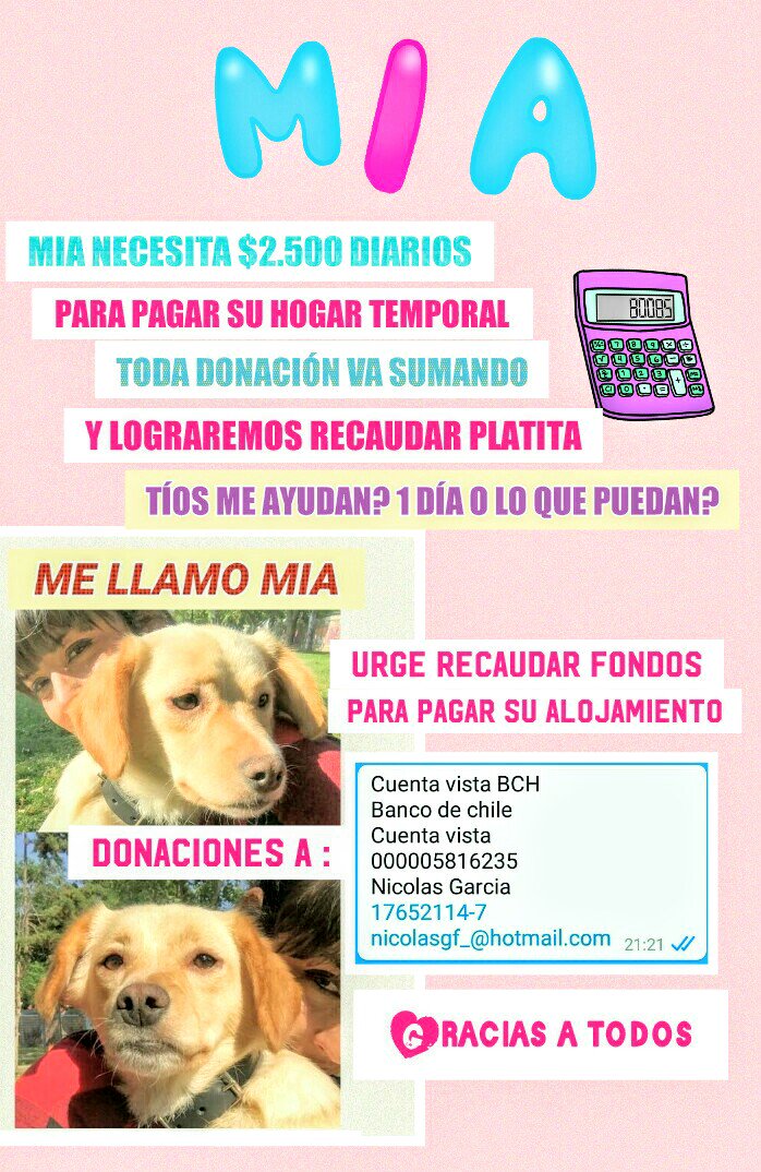loreto1110's tweet photo. @betohi @Chilena9772 @XimenaAG70 @cuetococos @LiliRusconi @patrmarsh @kattykowaleczko @digjazz @mvacarezza @PameIssabelg #VamosAmigos #1Día #ParaMia. #DiariosSon $2.500. #Peso #a #Peso #Suma y se AGRADECE MUCHÍSIMO @kattykowaleczko @madi_tol @XimenaAG70 @betohi @Chilena9772 @carolinapinoc @jenianino @cuetococos @PameIssabelg y #Todos los #AmigosTwitteros por #MIA gracias https://t.co/LEHpLJgRwU
