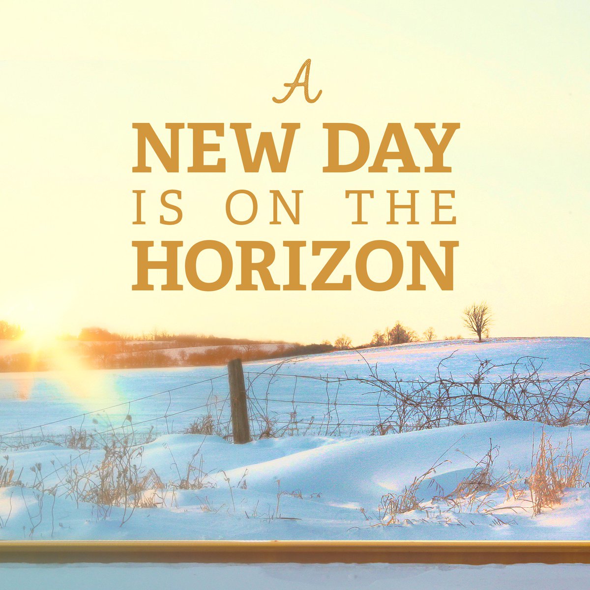 "A new day is on the horizon! And when that new day finally dawns, it will be because of a lot of #magnificentwomen." #oprah
#womenentrepreneurs #startupwomen #fiercefounders #movethedial #womenintech #powerfulwomen #womeninbusiness #timesup #womeninbiz #canada