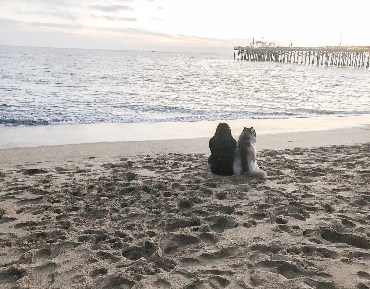 Heidi_Rae_L's tweet photo. Where we belong. 
@NewportBeach https://t.co/ayBAA83V0m