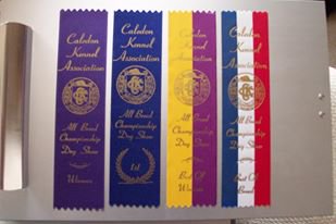 K9_Dan's tweet photo. @DebraKi53686485 MARCAS JACOB WAS AQUIRED FROM BILL RANDALL THE PRESIDENT OF THE GERMAN SHEPHERD DOG CLUB OF CANADA THAT TRAINED HIM FOR SHOW AND HE TOOK 4 RIBBONS IN HIS 1ST. SHOW ~ I TOLD YOU HE WAS A DANCER AND VERY TALENTED THAT KNEW HOW TO TAKE THE LEAD ALWAYS JUST NAME THE GAME ~ RIP MARCAS https://t.co/xZ0misLtWA