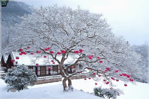 사랑은 양식을 광속에 저장하듯이 
행복도 모아 하나 하나 쓸수있다는 
잘못된 생각을 갖고있다. 
앞으로 나아가는 사람에게는 행복이 따르지만 
멈추는 사람에게는 행복이 스쳐가 버리지요.