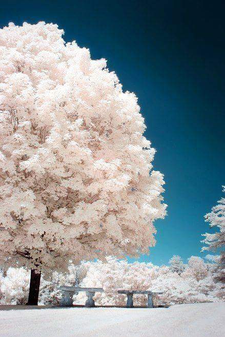 Sometimes the strongest among us are the one's Who smile through silent pain, Cry behind closed doors, and fight battles nobody knows about. 🎈💖🎈