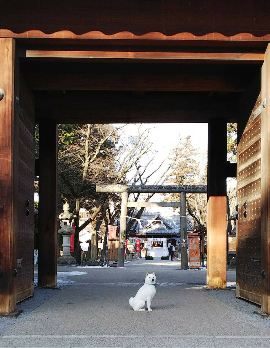 信州上田観光ガイド 18年は戌年 ということで 上田城とワンちゃんのショットです 上田 城跡公園はワンちゃんとお散歩を楽しめます ぜひ ワンダフルな上田城を愛犬とお楽しみください お散歩の際はマナーを守りましょう 信州上田 上田観光