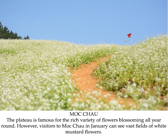 VNEvisaOrg's tweet image. VIETNAM’S 8 MOST ATTRACTIVE TRAVEL DESTINATIONS FOR JANUARY

Perfect choices for those wishing to escape the hustle and bustle of the city, 
goo.gl/pGwo41