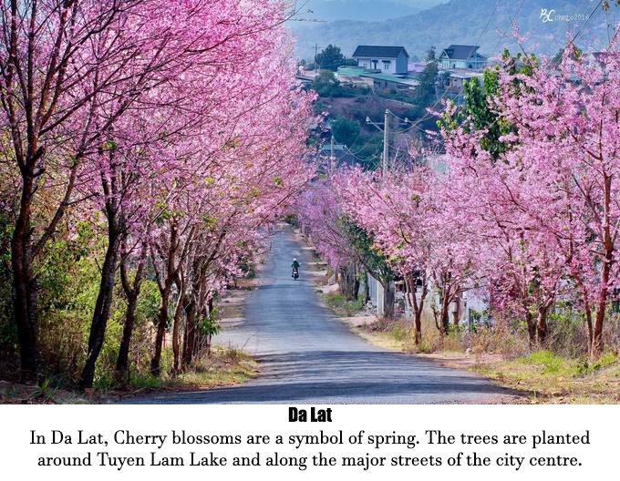 VNEvisaOrg's tweet image. VIETNAM’S 8 MOST ATTRACTIVE TRAVEL DESTINATIONS FOR JANUARY

Perfect choices for those wishing to escape the hustle and bustle of the city, 
goo.gl/pGwo41