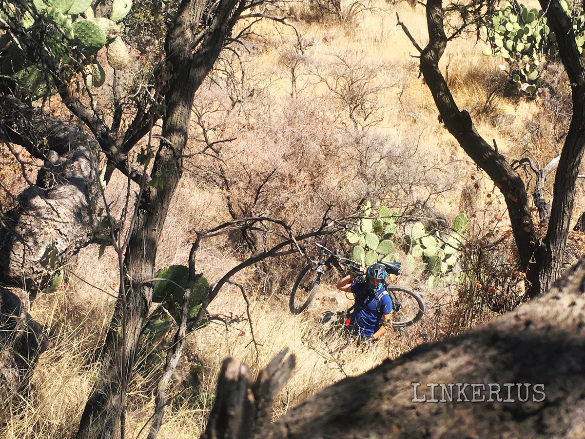 Linkerius's tweet photo. 2 horas de subida, 20 minutos de bajada; valió totalmente la pena.
#linkerius #extremenerd #mtb https://t.co/PjpyvFfCNn