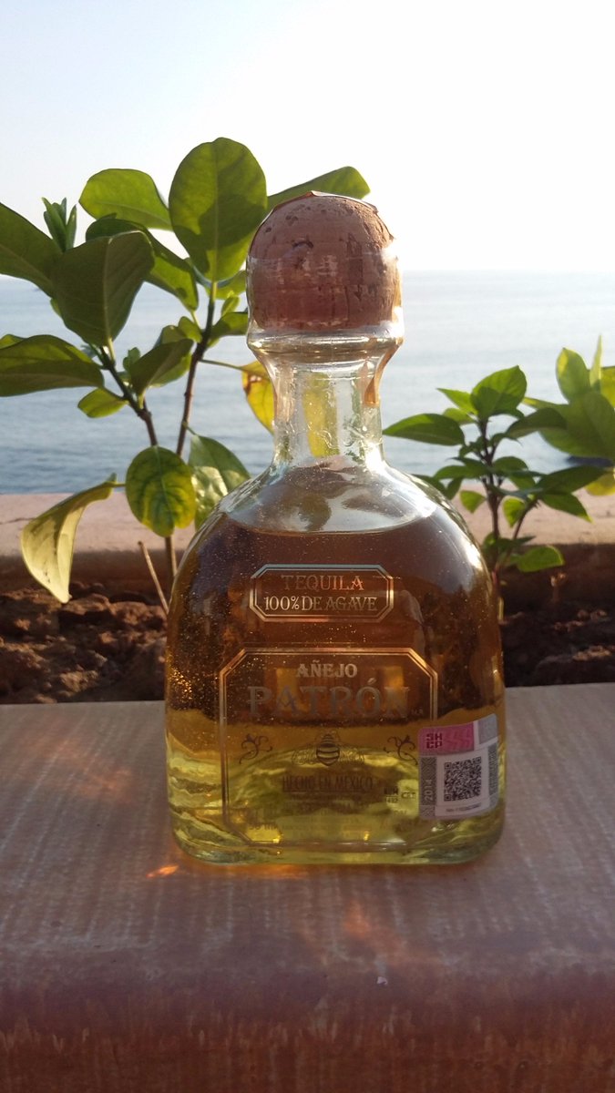 TerraceIxtapa's tweet photo. El Tequila Rejuvenece.. @DraDianePerez @karlaiberia @marthadebayle @LAURAGII @qtf @vanehupp https://t.co/vVKMSs6ZLR
