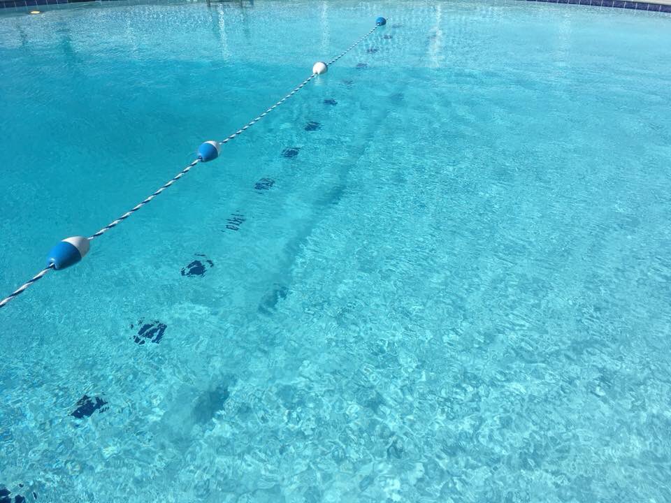 BESTAQUATIC's tweet photo. This pool 💦 so inviting 💦 #bestaquatic #poolside #ilovemyjob https://t.co/Hrg5qZZD0y