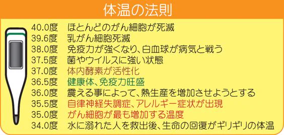 あなたは大丈夫？36度未満の体温は低体温と呼ぶ！