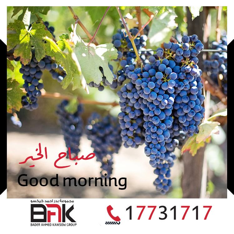 UcoEngineering's tweet image. #GoodMorning #Good_Morning #صباح_الخير #BAK #BAHRAIN #MANTECH #UCOENGINEERING #KAIKSOW #TILES #CERAMIC #CERAMICS #PORCELINE #PORCELAIN #SANITARY_WARE #SANITARYWARE #WASHBASIN #WASH_BASIN #البحرين #يوكو #يوكو_للهندسة #فلسطين #تقرير #Mantech #CCTV #منطق #حماية #System #security