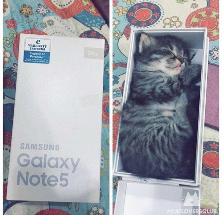 AnnieWeak's tweet photo. Prefiero un regalo así antes que un celular https://t.co/PwGrnRRHE7