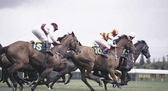 Les prix des chevaux de course s’envolent. 
Decouvrez sur: icd-fiduciaries.com/actualites/201…