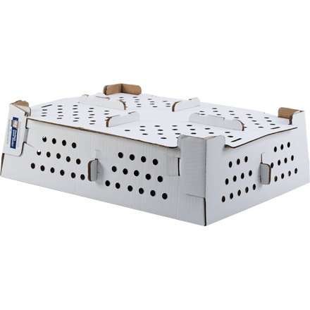 Maksspackaging's tweet photo. We are offering to our customers strong &amp; Corrugated Chick Box  in different sizes and shapes as per the requirements of the customers with air ventilators for supplying air to the chicks. 
#maksspackaginglimited https://t.co/mOiKs8R9Kx