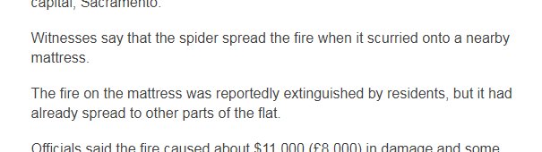 Brett_CBC's tweet photo. - Man finds huge spider in apartment.
- Man tries to burn apartment down.
- Spider helps.
- Spider maybe survives. https://t.co/wUeKRDkVQx