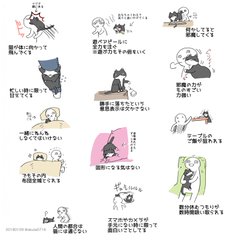 猫を飼ってから分かる大変なこと ほっこりする猫飼いあるある から やがて直面すること まで描いたイラストに共感の声 ねとらぼ
