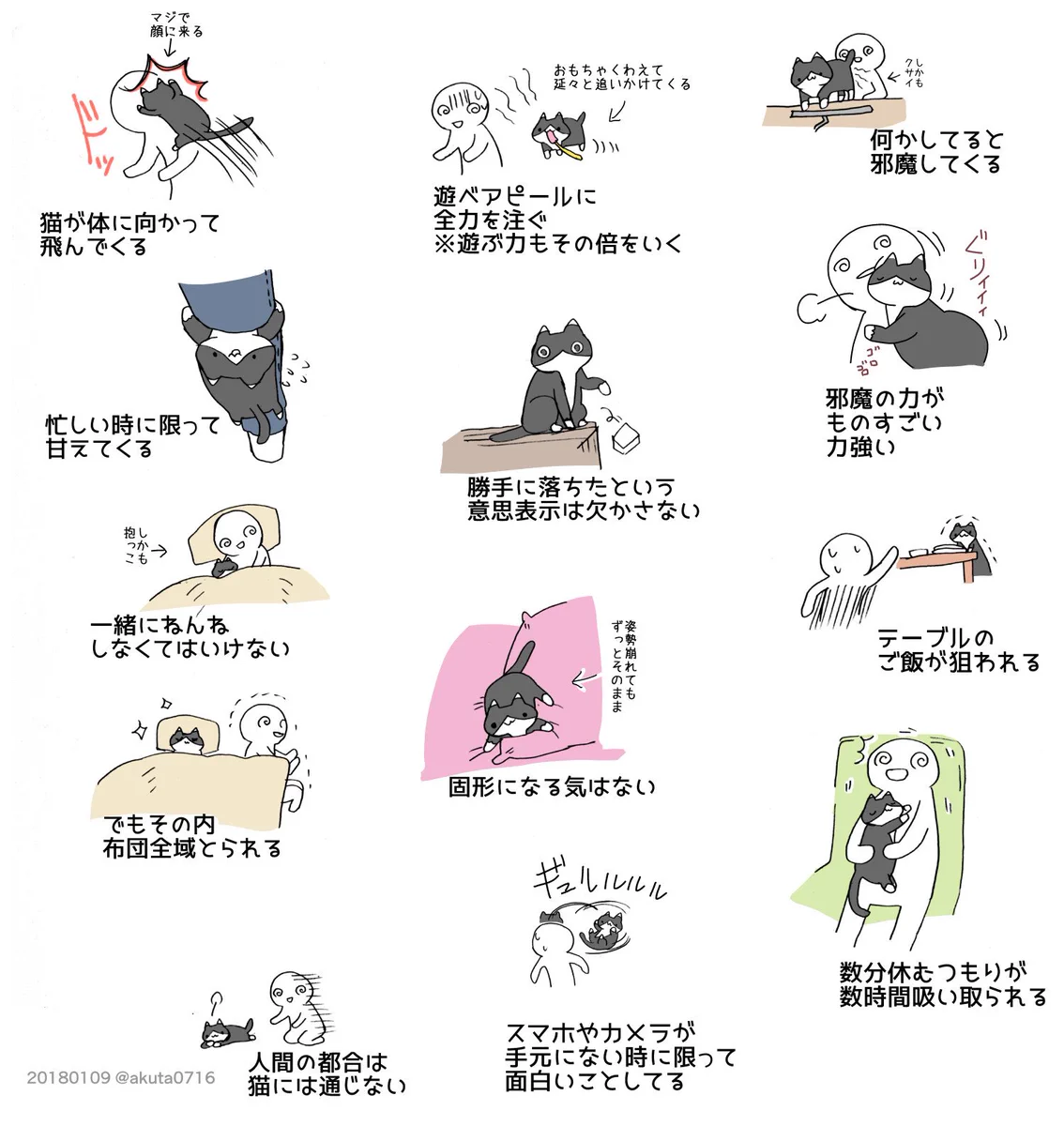 猫を飼うのは大変！でもまた猫を飼いたくなる不思議！！