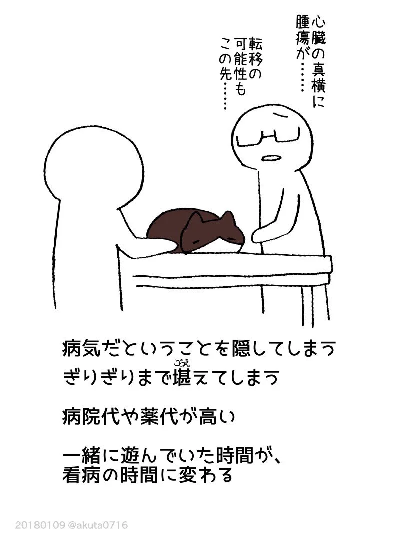 猫を飼うのは大変！でもまた猫を飼いたくなる不思議！！