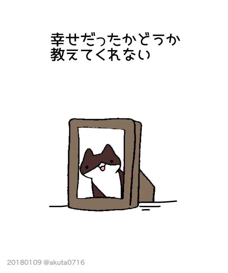 猫を飼うのは大変！でもまた猫を飼いたくなる不思議！！