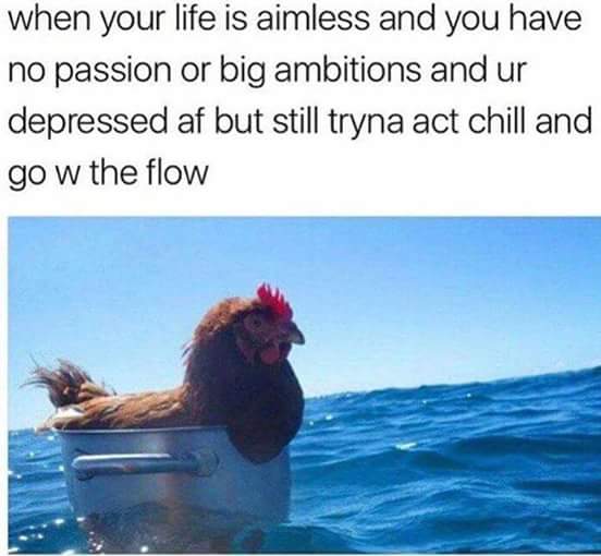 EloisaLuthien's tweet photo. #memetwit #Memes https://t.co/aDRmTba0hf