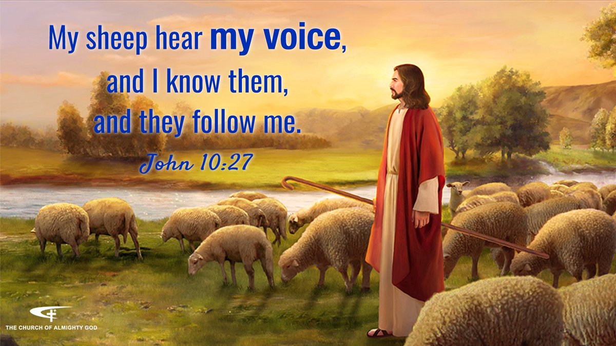 Almighty God Church on Twitter: &quot;The #Lord #Jesus once told us: “My sheep  hear my voice, and I know them, and they follow me” (Jhn 10:27). Then how  to identify the voice