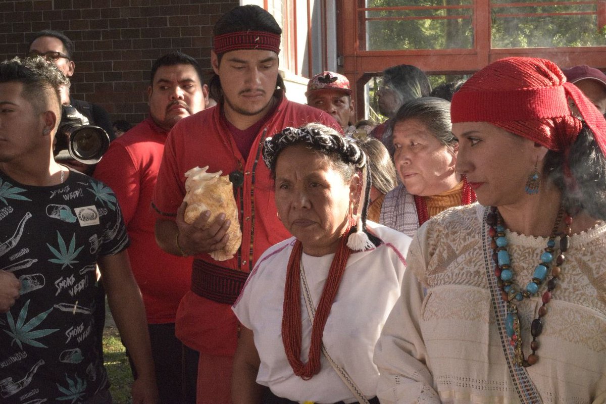 #Chiapas Radio Onda d'Urto intervista #Marichuy , la candidata indigena e di #Ezln alle prossime presidenziali in #Messico -> radiondadurto.org/2018/01/09/mes…