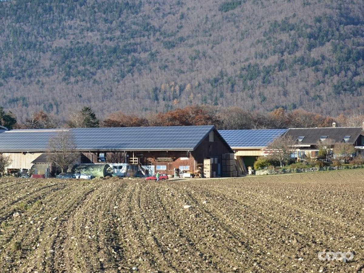 coop_ch's tweet photo. Unsere #CO2-Emissionen kompensieren wir schon seit 2007. Jetzt realisieren wir auch Klimaschutzprogramme in der Schweiz gemeinsam mit unseren Partnern @WWF_Schweiz, @SuisseBio und @myclimate. #Tatenbank #NeueTat https://t.co/4kSaydZvCk https://t.co/OSwjKubrd7