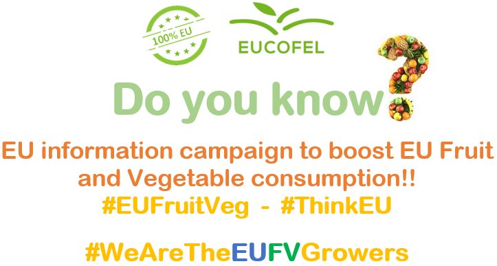 Doyouknow_EUFV's tweet photo. @Doyouknow_EUFV: Media information campaign to boost EU #Fruit &amp; #Vegetable consumption!
@EUCOFEL_EU @AsociacionANPCA @PROCECAM1 @tomccb @ComiteCitricos @BlogCoexphal @Proexport_Spain @fraisesdefrance @LaBananeDurable @ASPROCAN @platanosiempre #incofruit #KZGPOW #gesba @FEPEX_EU https://t.co/dKkyogFxnE