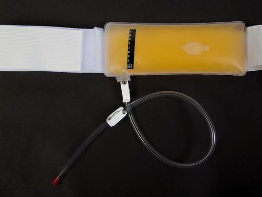 howtowhatisblog's tweet image. Synthetic Urine To Pass A Drug Test getbigidea.com/synthetic-urin…