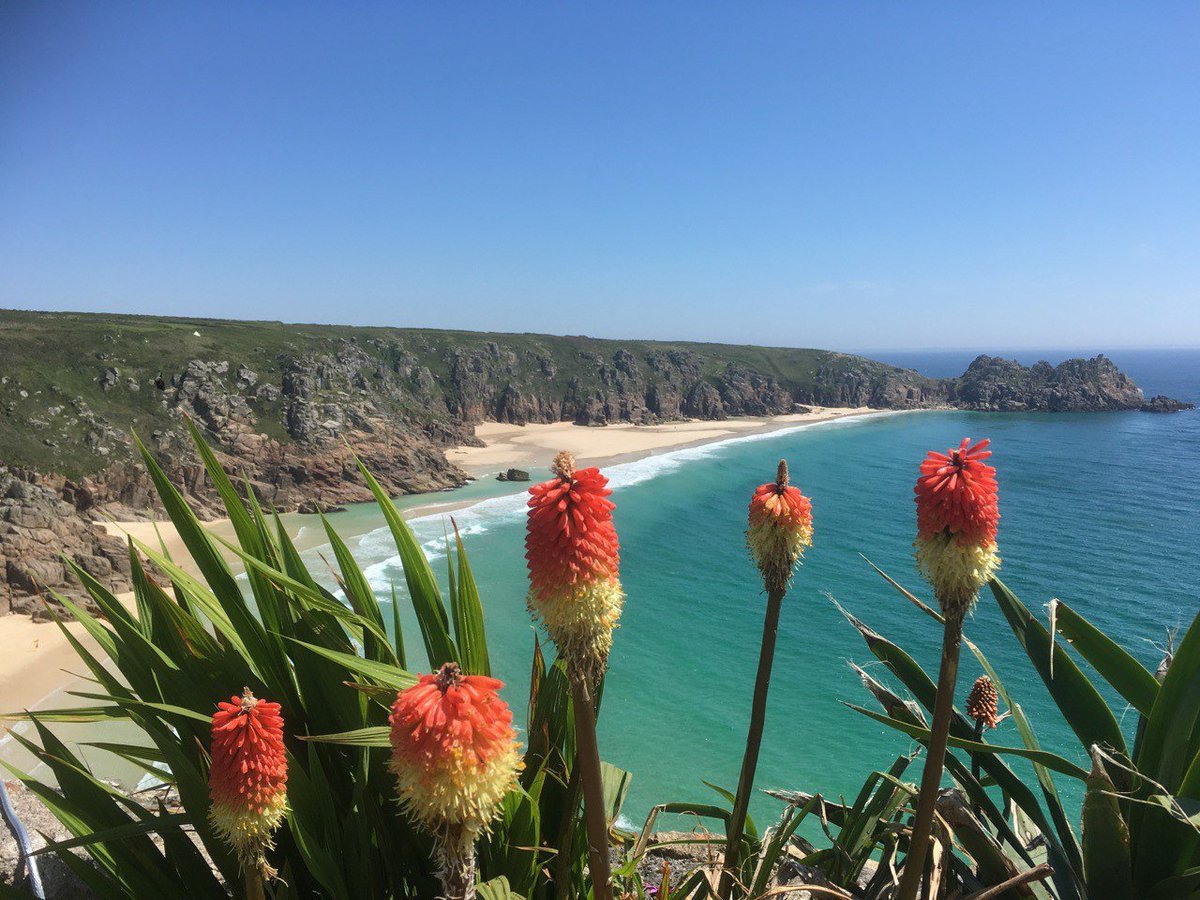 GuidetoCornwall's tweet photo. Explore the unique Minack open-air theatre created from the cliffside at Porthcurno by Rowena Cade. Enjoy the spectacular views over Porthcurno Bay to the Logan Rock.
For more information please visit https://t.co/d1TdB1oLDr https://t.co/LT8YPwMMqw