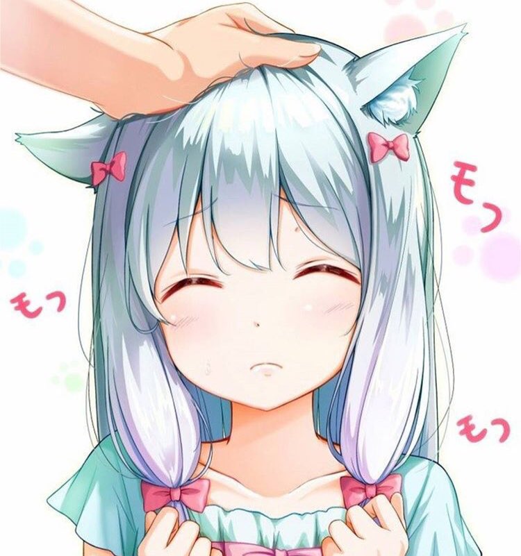 アホ 虎の子 Nemuibaka1 Twitter