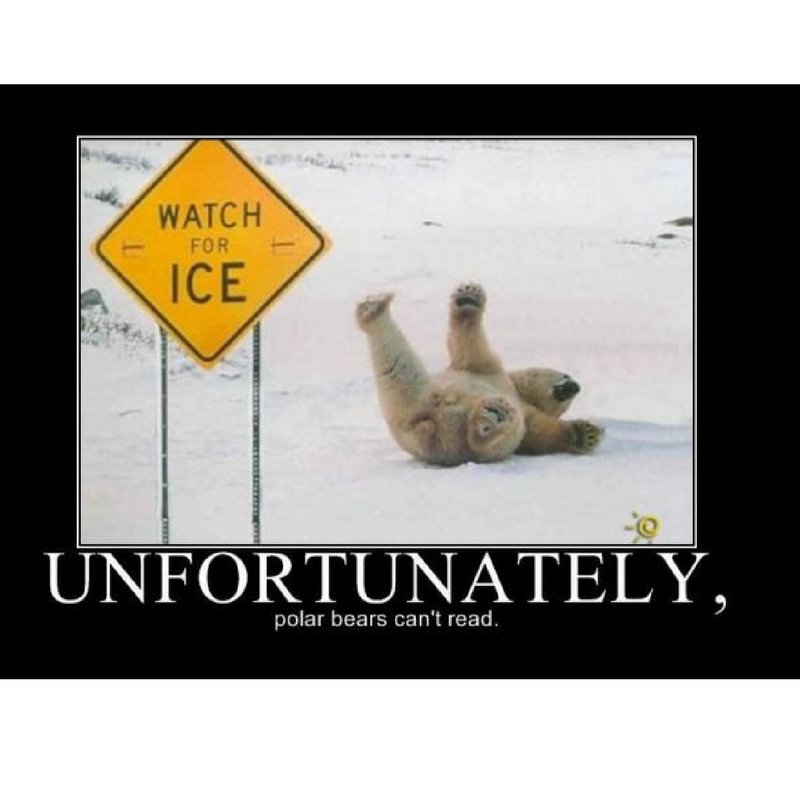 Amelix Group tweet media