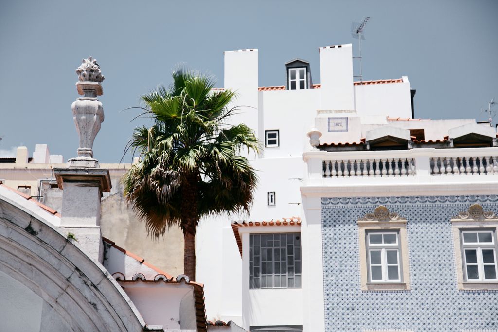 PULP COLLECTORS tweet media