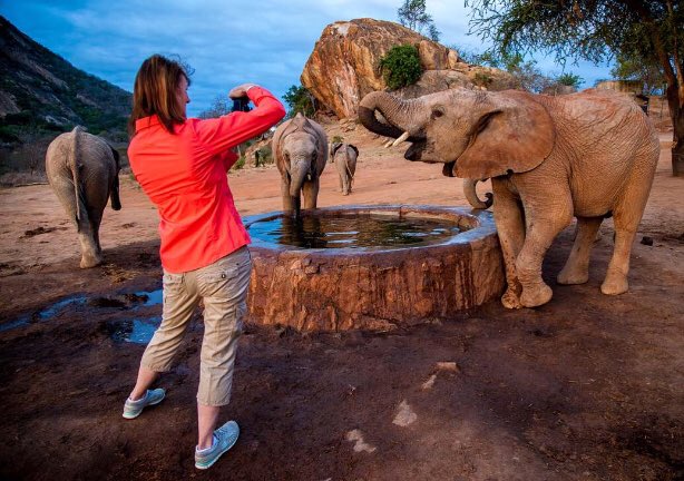 #Kenya @ #TsavoNationalPark are home to many of the continents’ last #bigtuskers. #OriginsSafaris offer awesome #safari experiences in search of these giants of nature. If you have any affinity with #elephants, Ithumba safari camp needs to be on your #bucketlist.