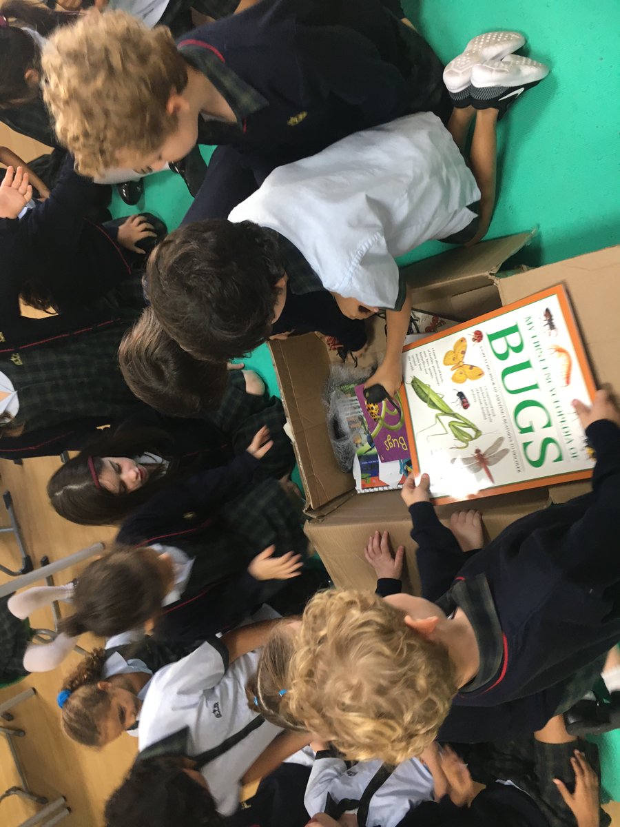KSAB_Y2's tweet photo. #deardavidy2
Jet Class were very excited to investigate beetles for David after receiving an exciting parcel... https://t.co/xPBSlAviRM