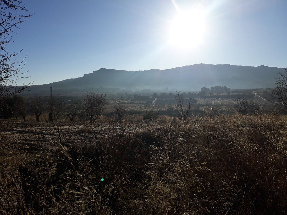 terresebretur's tweet photo. RT @CellerFrisach: The Frozen Highlands!! Gener Gebrador! #TerritoriVernatxa #TerraAlta #tempsdefred❄ #bonTemps #LaPuntadelPebre #winelovers🍷 #orgasmicLands #OrgasmicFarming #CellerFrisach #wineattack #wineaddict https://t.co/wkBeoMN7kK