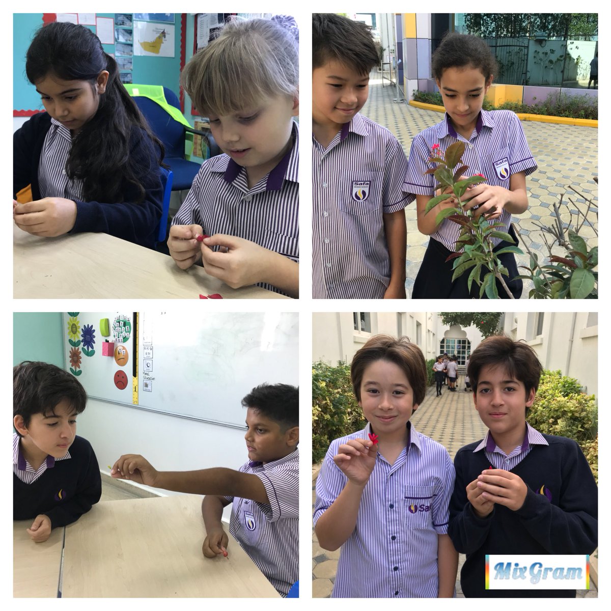 Year5_SBS's tweet photo. Peridot Class enjoyed a nature walk this afternoon looking for flowers. In Science they are learning about the different parts of a flower and why they are so important. #SBSScience #SBSEco #SBSHappiness π» https://t.co/o4M4jRN5YE