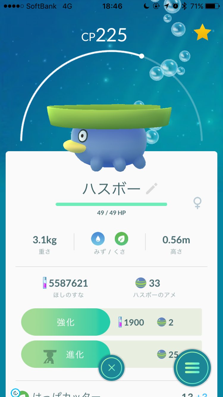 しぶ ポケモンgo ハスボーって足６本あったのか 今年最大の衝撃 進化系のルンパッパ ハスブレロは手足合わせて４本なのに 残りの２本はどこへ ハスボー ポケモンgo T Co Dqttuckcuy Twitter